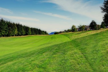 Evergreen Washington eyaletinde güzel manzara. Yaz sonu