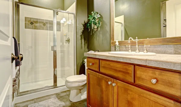 Bathroom interior with dark olive walls — Stock Photo, Image