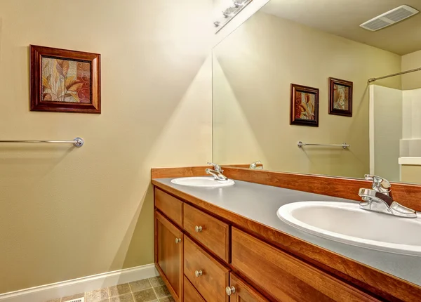 Armário da vaidade do banheiro com dois dissipadores e espelho — Fotografia de Stock
