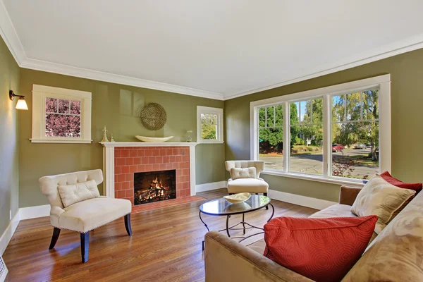 Olive tone family room with fireplace — Stock Photo, Image