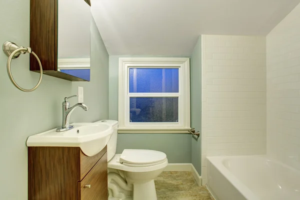 Simple bathroom with mint walls. — Stock Photo, Image