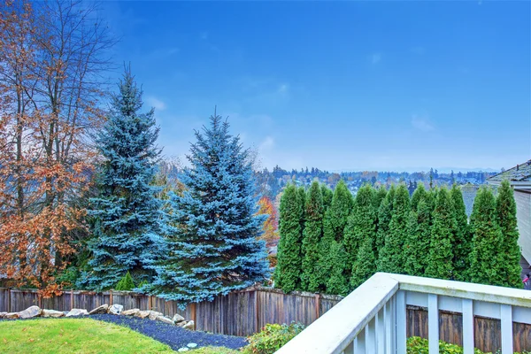 Beautiful backyard with deck. — Zdjęcie stockowe