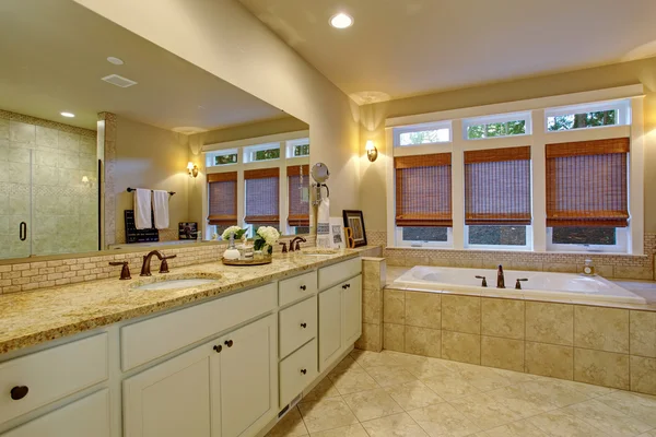 Large master bathroom with tile floor and tub. — Stok fotoğraf