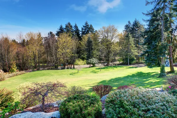 Beautiful view of greenery and sky. — Stock Photo, Image