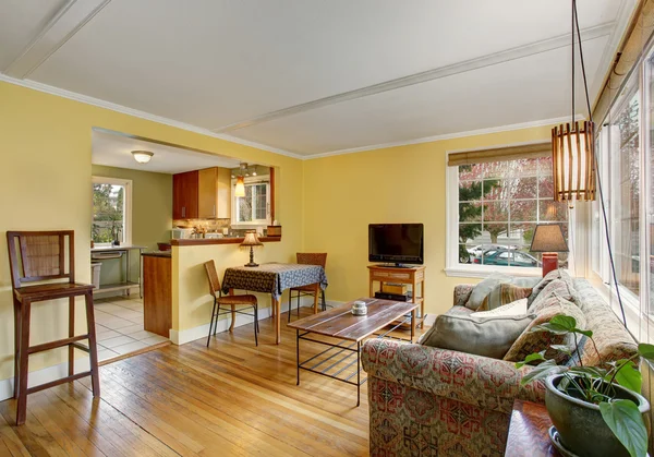 Ruang tamu kayu keras yang indah dengan sofa berwarna-warni, dan dinding kuning — Stok Foto