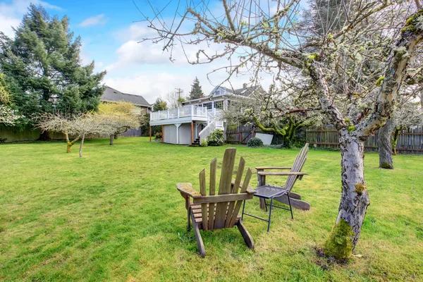 Large authentic back yard with grass and trees. — Stock Photo, Image