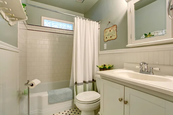 Kamar mandi modern dengan dinding mint, dan dekorasi . — Stok Foto