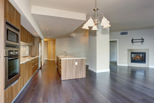 perfect modern kitchen with hardwood floor.