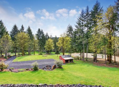 Büyük çim arka yaard bir kulübe ile dolu.