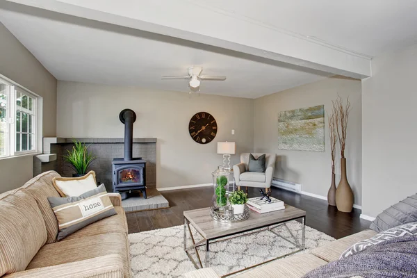 Modernizovaný obývací pokoj s krbem a nadýchané koberec. — Stock fotografie