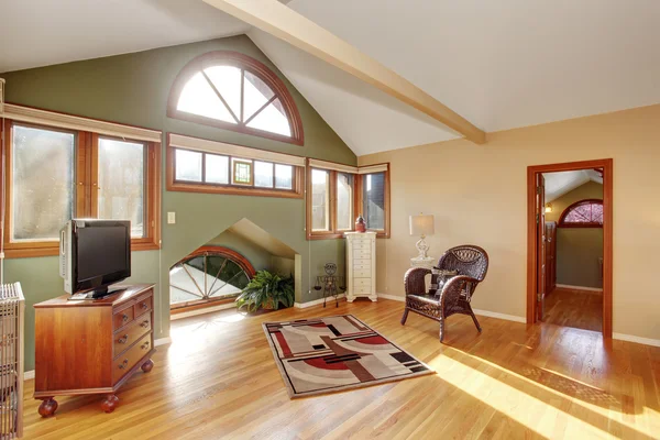 Vintage loft style bedroom with tv and hardwood floor. — Stock Photo, Image