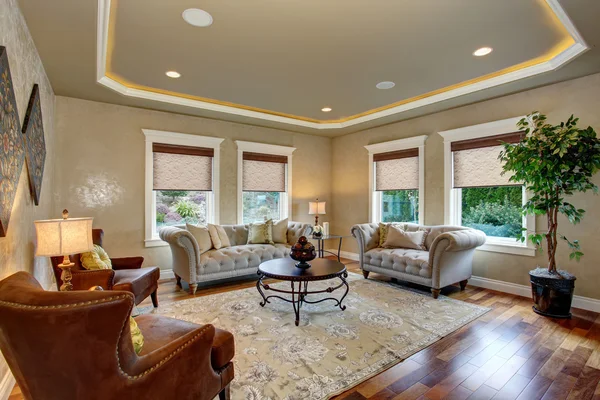 Vynikající obývací pokoj s dekorativní koberec. — Stock fotografie