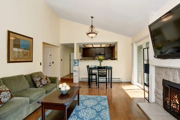 Excellent living room with blue rug and fireplace. — Stock Photo, Image