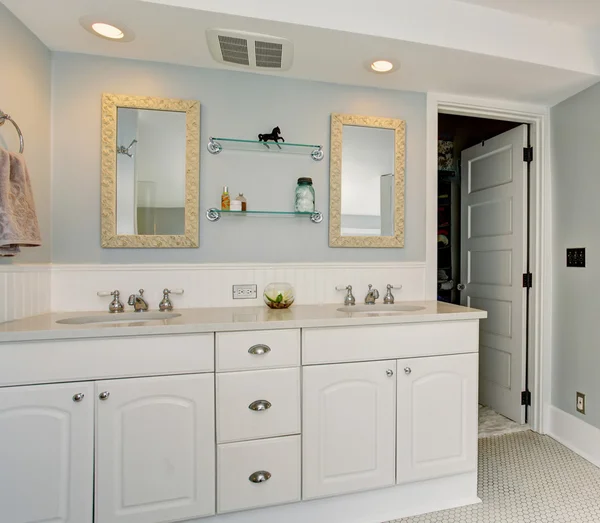 Salle de bain de maître de luxe tout blanc avec thème vintage . — Photo