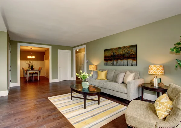 Lovely living room with green and yellow theme. — Stock Photo, Image