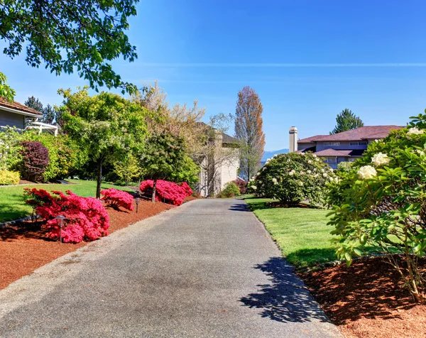Driveway to home lined with flower bushes. — Stock Photo, Image