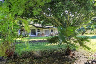 yeşillik ile basit hawaiian ev.