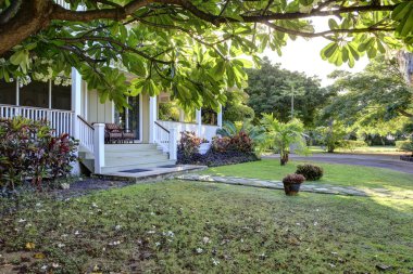 yeşillik ile basit hawaiian ev.