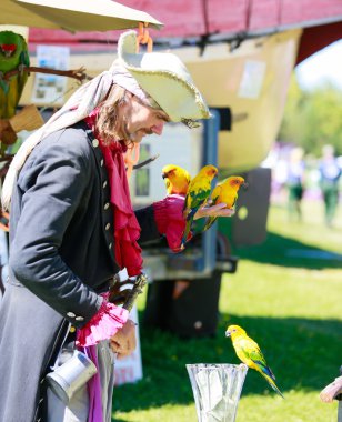Ellensburg Rodeo papağan Aratinga Conures korsan ile.