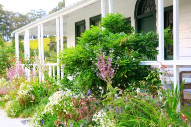 Garden near porch at Kemp House is New Zealand's oldest buildi clipart