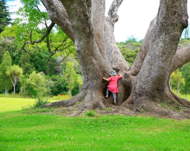 Küçük kız büyük bir ağaç tırmanma. Keri Keri, park. Yeni Zelanda.
