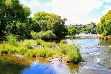 Su ve Kerikeri misyon Station yakınındaki yeşilliklerle ile şaşırtıcı güneşli sahne