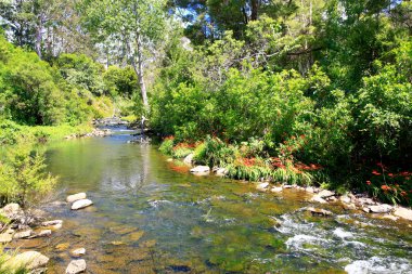 Su ve yeşillik ile şaşırtıcı güneşli manzara.