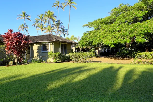 Simple hawaiian house with greenery. — Stock Photo, Image