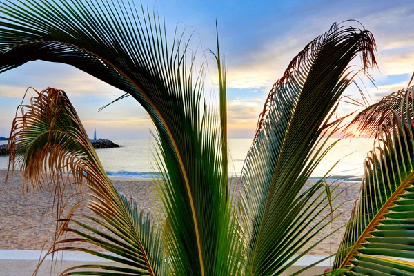 Pôr-do-sol mexicano atrás dos ramos de uma palmeira . — Fotografia de Stock