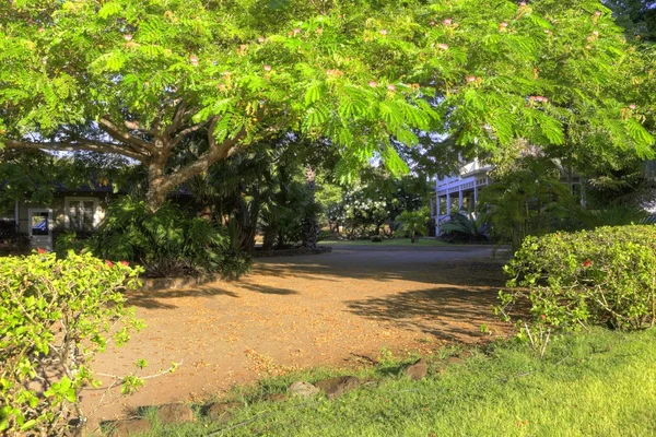 Calzada y plazas de aparcamiento en casa hawaiana . — Foto de Stock