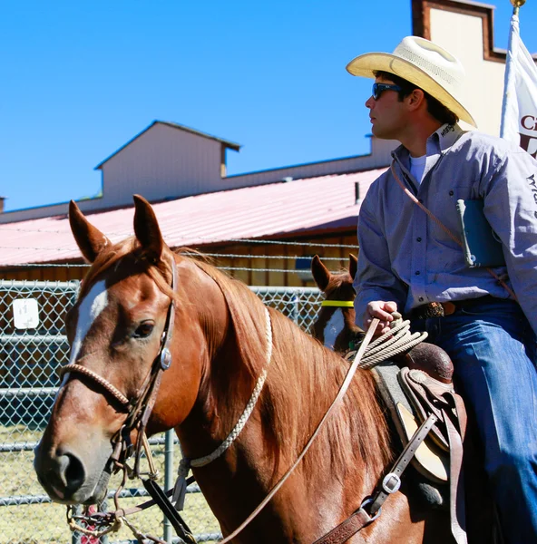 Rodeo manliga ryttare på brun häst. — Stockfoto