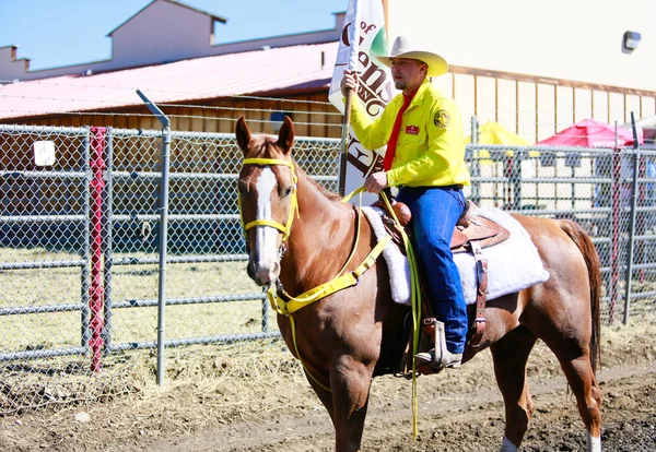 Rodeo férfi lovas barna ló. — Stock Fotó