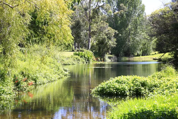 Geweldige zonnige landschap met water en groen dicht bij Charlie's Rock in Kerikeri, Nieuw-Zeeland. — Stockfoto