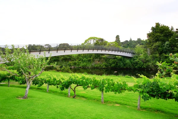 Moderne gebogen lange rivier brug in de buurt van Kerikeri missie Station — Stockfoto