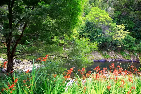 水とチャーリーの岩でケリケリ、ニュージーランドの近くに緑のある驚くべき日当たりの良い風景. — ストック写真