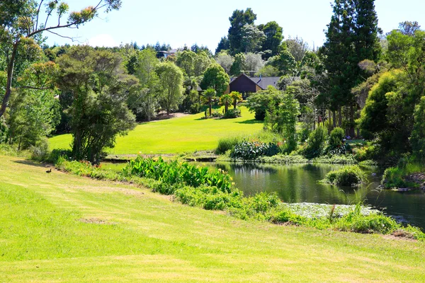 Geweldige zonnige landschap met water en groen dicht bij Charlie's Rock in Kerikeri, Nieuw-Zeeland. — Stockfoto