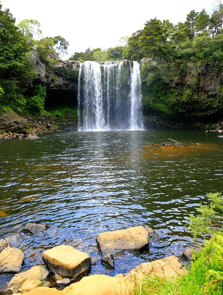 Belle cascade avec verdure en Nouvelle-Zélande. Rainbow Falls. KeriKeri . — Photo