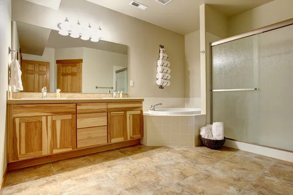 Pěkné hlavní koupelna s velkým sprchovým koutem. — Stock fotografie