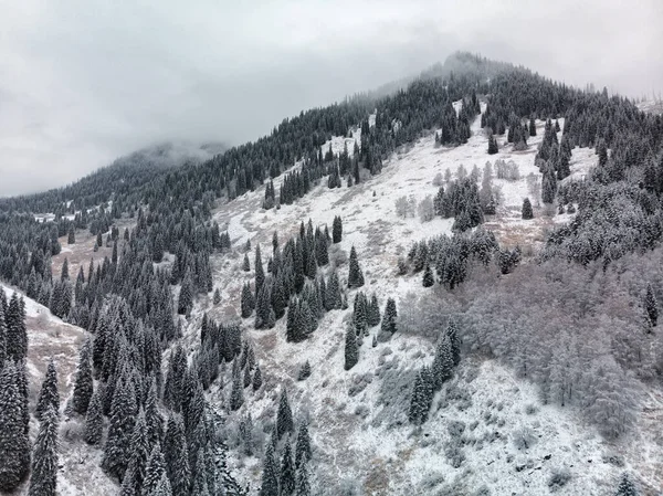 Vista Invierno Montañas Cubiertas Bosque Nevado Niebla Paisaje Místico Invierno — Foto de Stock