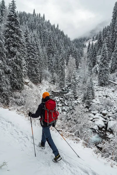 Man Backpack Carries Out Hike Winter Mountains Forest Mountains Snowfall — Stock Photo, Image