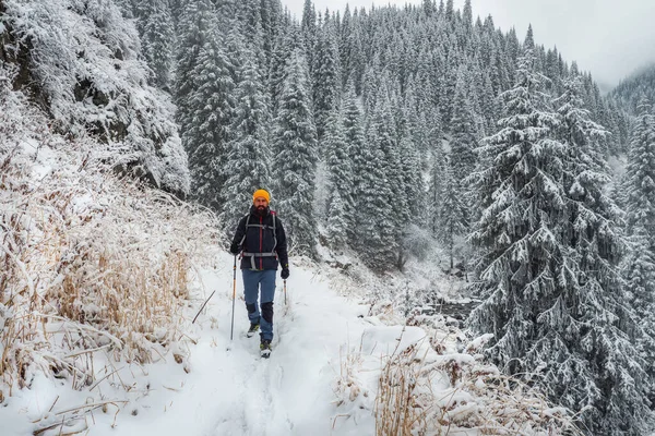 Man Walks Winter Snowy Mountain Gorge Forest Mountains Snowfall — Stock Photo, Image