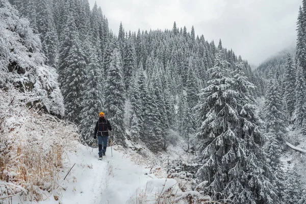 Hombre Con Una Mochila Realiza Una Caminata Invierno Las Montañas — Foto de Stock