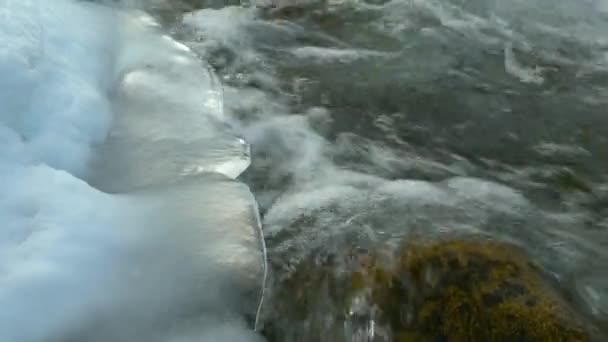 Ruisseau Spring Referme Fonte Glace Sur Une Rivière Montagne — Video