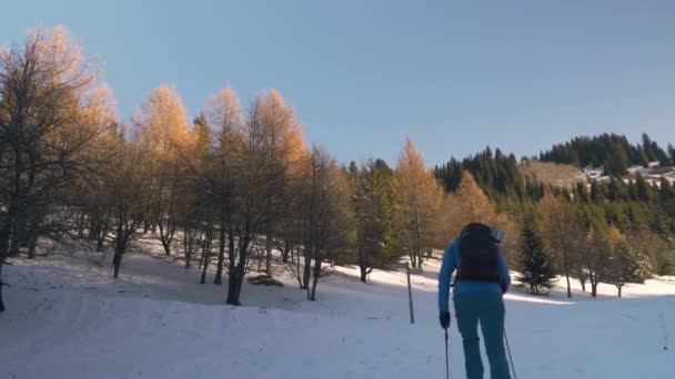 Ранним Утром Человек Гуляет Горах Зимой Человек Идет Тропе Горы — стоковое видео