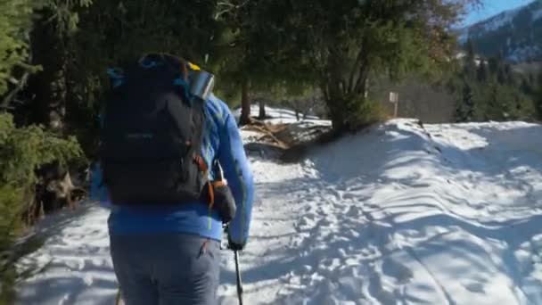Mężczyzna Turysta Plecakiem Spacery Górach Zimie Widok Tyłu Człowiek Wspina — Wideo stockowe