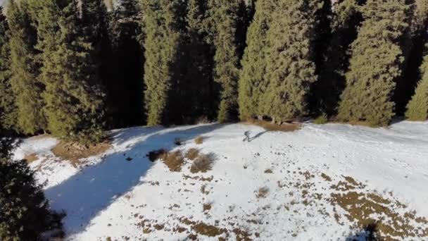 Caminhadas Turísticas Masculinas Nas Montanhas Inverno Homem Caminha Longo Caminho — Vídeo de Stock