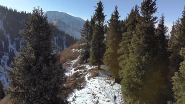Ten Chlap Zimě Toulá Horách Muž Kráčí Stezce Mezi Vysokými — Stock video