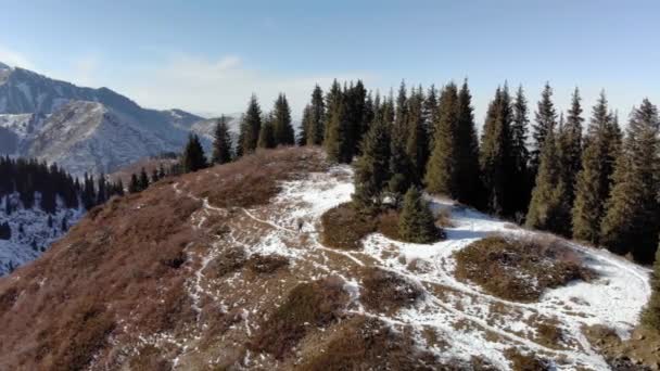 Uomo Cammina Una Collina Montagna Facendo Escursioni Inverno Orario Invernale — Video Stock