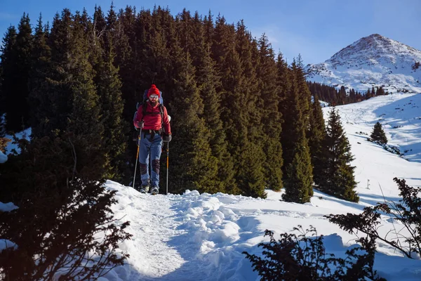 Mountain winter tourism. A man with a backpack walks in the winter mountains