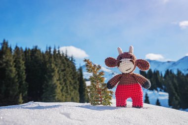 Neşeli bir oyuncak goby, kışın dağlarda bir kar yığınında ardıç ağacından yapılmış küçük bir Noel ağacı ile duruyor. El yapımı Noel ağacı oyuncağı. 2021 'in boğa sembolü